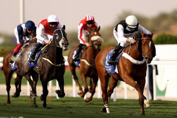 风筝何时成为体育项目(图1)